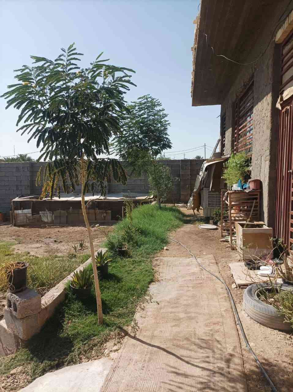 🏠 للبيع بيت في كربلاء
📐 مساحة الأرض: 700 م²
🏡 مساحة البناء: 120 م²
🔑 البيت مسكون ويحتاج إلى بعض أعمال التشطيب: لبخ، بياض وأرضيات.
📍 يبعد حوالي 1.25 كم عن مرقد عون.
💰 السعر: 130 مليون دينار
🤝 يوجد مجال للشراي
📞 للاستفسار: ***********
***********
