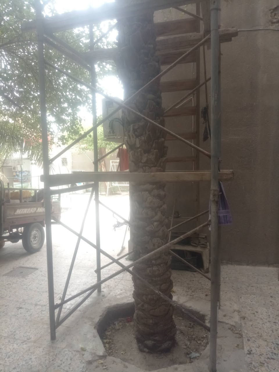 سقالة • ٢٠ قفص • البصرة الزبير