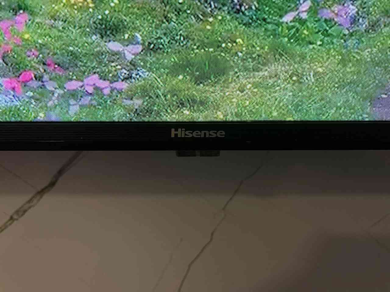هايزنس • ٥٠بوصة • سمارت