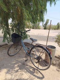 بيسكل • حجم ٢٦ • يوصل