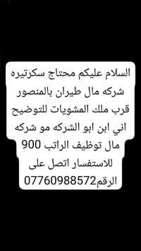 سكرتيره • شركة طيران • بالمنسور
