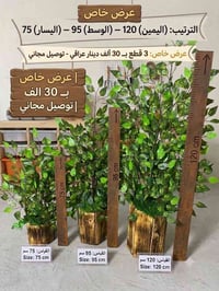 عرض خاص • ٣ قطع • توصيل مجاني