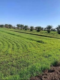 ارض للبيع لاصحاب الامكانيه القليله  جايبلك 8دوانم السعر 7 مليون قفل لل...