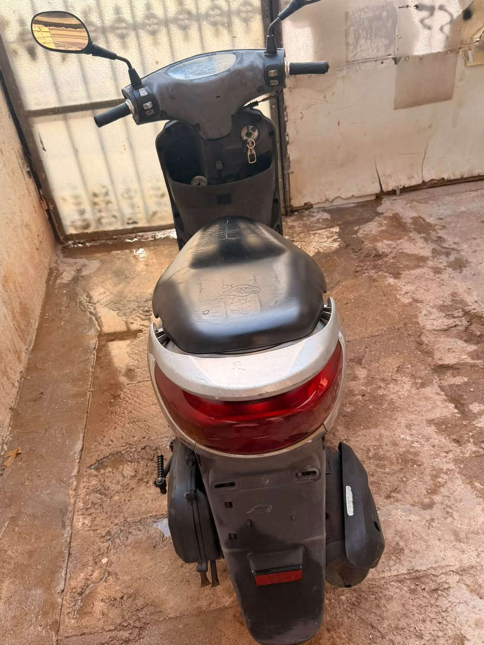 بريز كابريتة • مكفولة • رمبة