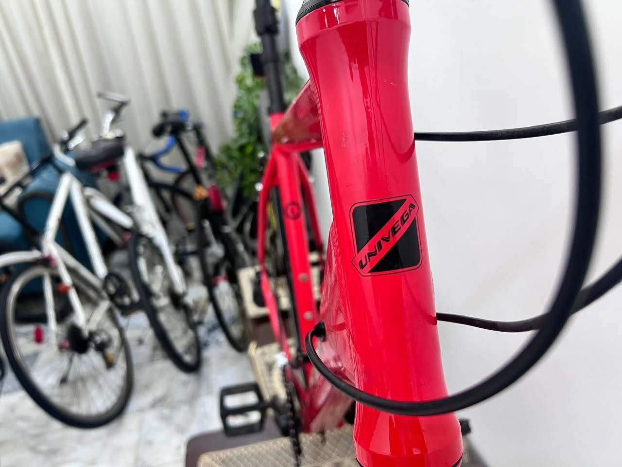 Univega Maxima • مقاس L • هجين رياضي