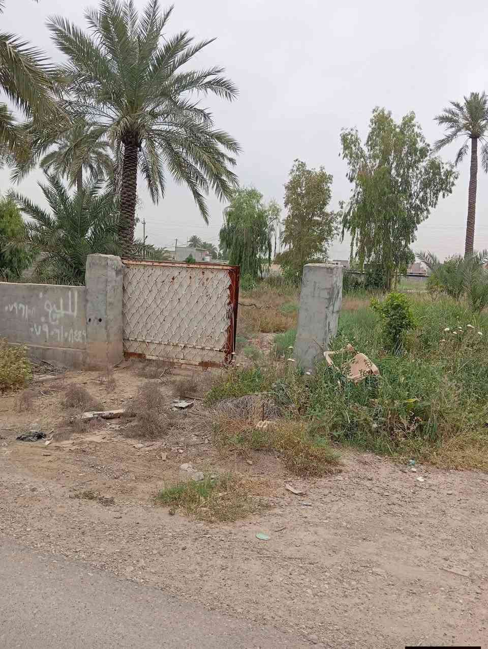 قطعة ارض ٨١٠م وجه20*40.5الصمدية مقابل جامع عقبة بن نافع تبعد عن السدة ١٥٠م زراعي ٢٥ من صاحب الأرض
للاتصال 
***********
***********
قطعة ارض ٨١٠م وجه20*40.5الصمدية مقابل جامع عقبة بن نافع تبعد عن السدة ١٥٠م زراعي ٢٥ من صاحب الأرض
