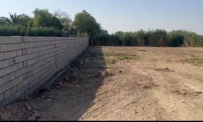 للبيع ارض طابو ٢٥
المساحه ٣ دونم البيع دونم او ٢ دونم 
ماء مباشر من ماء الكرخ وعليها ماء الشط 
وجها تبليط ١٦٠ متر موقع كلش حلو للعلم سعرنا ارخص سعر بل منطقه 
مقابيلك مزرعتين خاصات وشرط تبني مزرعه التاجي مقابيل منشأةالنصر خلف الجنابين عمشه قبل طريق مقبره كف على سعر سعر ٤٥ مليون وبي مجال 
لارض طابو ٢٥ تحويل 
العقد الكلي ٥ دونم 
***********تصال 
***********وتساب 
***********وتساب وتصال
