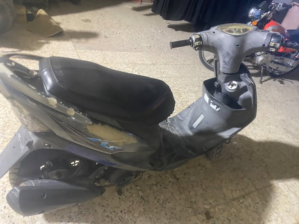 ماكس عدلة • بلادية • بيها مجال