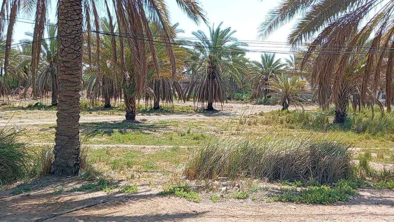 قطعة ارض للبيع ١٥٠٠ متر (طابو زراعي) محاطة بشارعين تبليط الشارع عرضه ٩ متر القطعة متوفر فيها كافة الخدمات كهرباء وماء اسالة وماء سقي، القطعة قريبة على الشارع العام جدا،( شارع كربلاء) القطعة تصلح لأي شي سكن او حسينية او مخازن . 
مكان القطعة شارع بغداد كربلاء عامود ٦٦٣
سعر القطعة ٢٠٠ مليون
للاستفسار ***********
