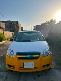 اڤيو • ٢٠٠٩ • فلوجة