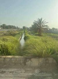 ٥ دونم • ذراع دجلة • خدمات كاملة