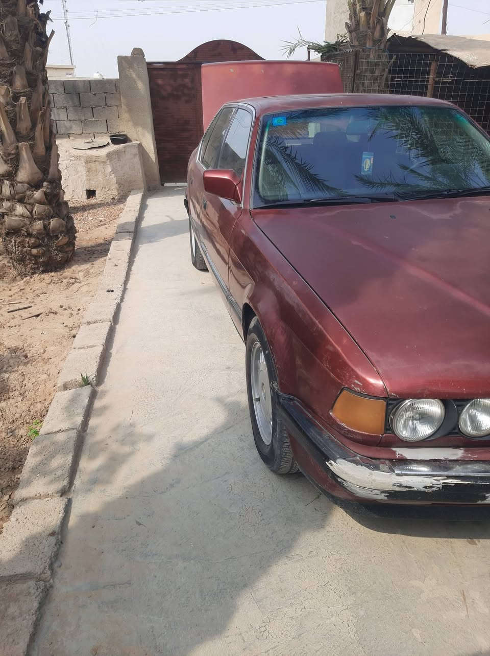 موديل ٩١ • ما بيها صبغ • مكفولة