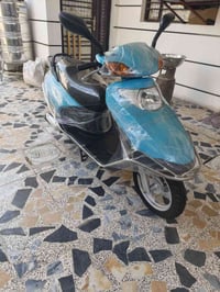 سبيسي • ماليزية • ٢٠٢٥