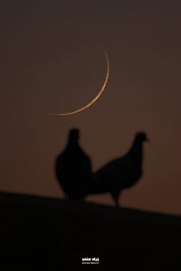 💡 مميزات الدورات التدريسية:  شرح وتبسيط المناهج: متابعة دقيقة وشاملة ل...