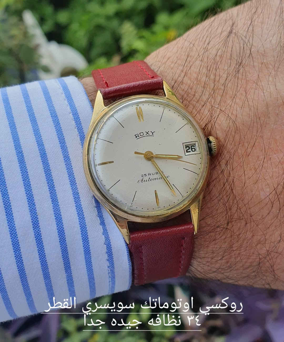 الفنتج الجميل سويسري الماني نصب اوتو الاسعار والتفاصيل داخل الصفحه 
اتصال ماسنجر او واتس اب ***********

نص مكتوب في الصور:
- كينزل الماني الاصلي نصب تكويك سنتر ثواني القطر ٣٢ ونصف نظافه ممتازه
- روكسي اوتوماتك سويسري القطر ٣٤ نظافه جيده جدا
- ايدوكس نصب تكويك اصدار نادر القطر ٣٤ نضافه ممتازه سويسري
- كينزل نصب تكويك الماني الاصلي القطر ٣٣ سنتر ثواني نظافه ممتازه
- تحفه سويسريه نصب تكويك القطر ٣٤ ونصف نظافه ممتازه
- دارويل نصب تكويك انتاج الاربعينات سويسري القطر ٣٤ سنتر ثواني نظافه جيده
- كليتون نصب تكويك نظافه ممتازه
- القطر ٣١ فقط تحتاج تبديل جامه
- البيون نصب تكويك نظافه ممتازه القطر ٣٧
- ايدوكس سويسري نصب تكويك القطر ٣٥ نظافه جيده جدا