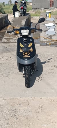 بطه • حديد • تفصيل