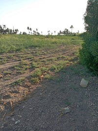 🌿 دونم زراعي للبيع  🌿  فرصة مميزة لامتلاك دونم زراعي بسند 25، مع تحويل...