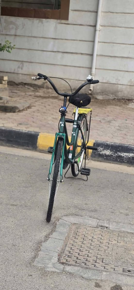 باسكل • زيتوني • نضافة ٨٥٪
