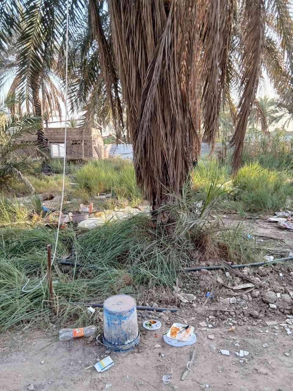البو عيثة • ٥ دونم • قانون ١