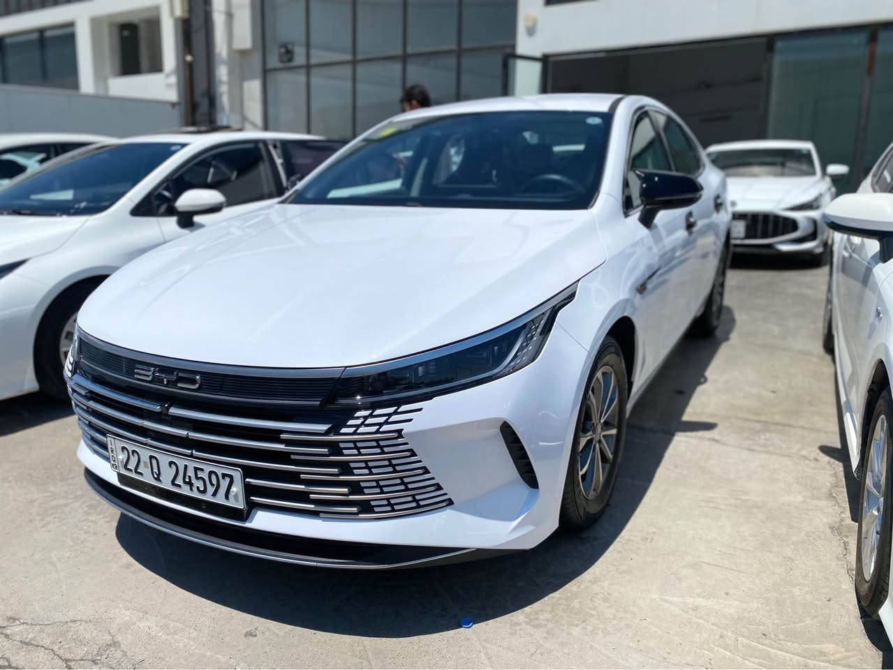 بي واي دي BYD Destroyer 2025 
تەنیا 14 هەزار ڕۆیشتووە. هیچی نیە
شاشە گەورە.شاشةوكاميرا ویل کڕۆم.
تحديد سورعه.پشت و پێش لید ڤۆلیۆم.
سعر  138$🔥💣 ورقة  مۆبایل  ***********
مکان أربيل . أربيل, العراق
