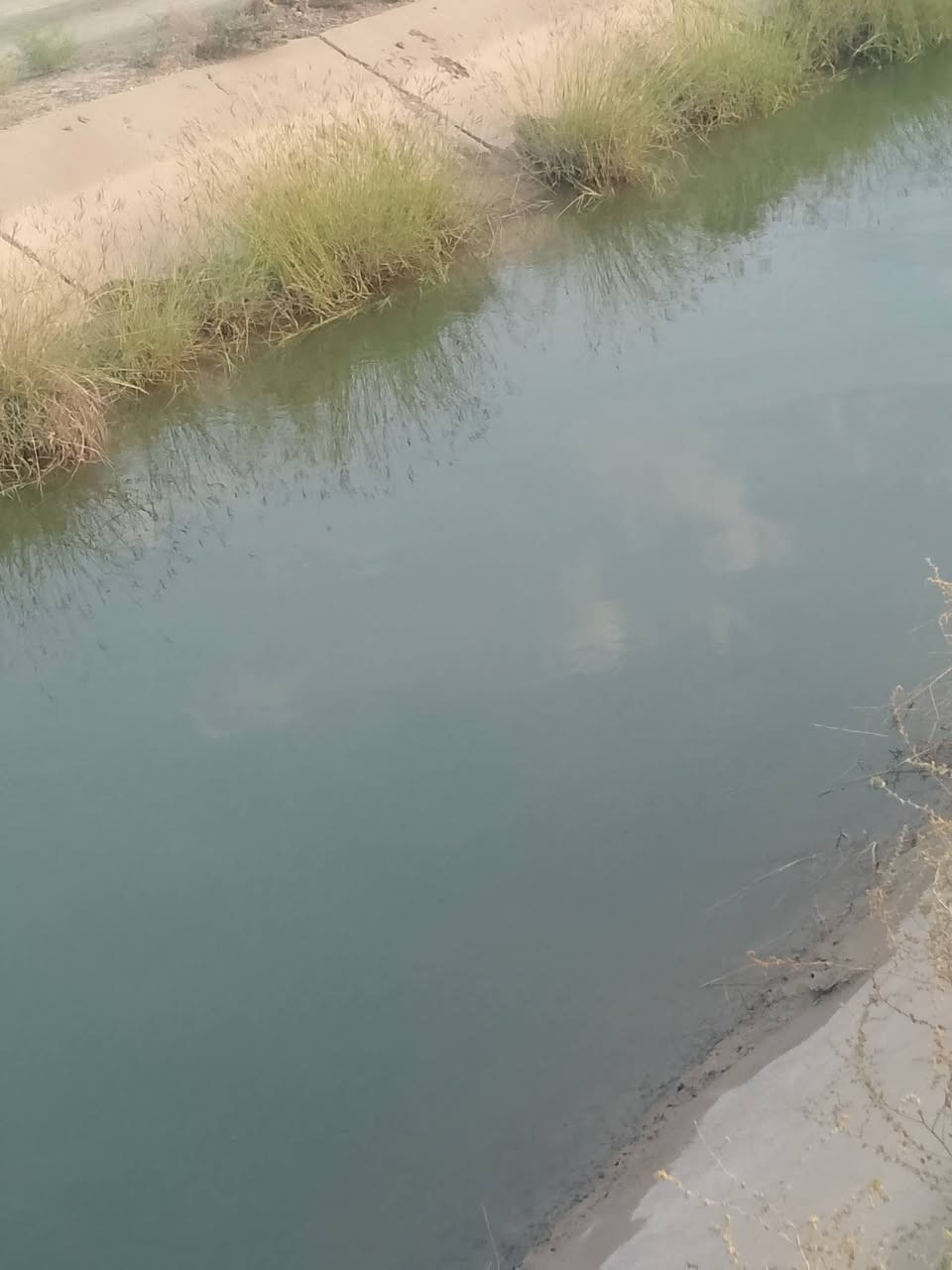 ٥ دوانم • طابو زراعي • سند ٢٥