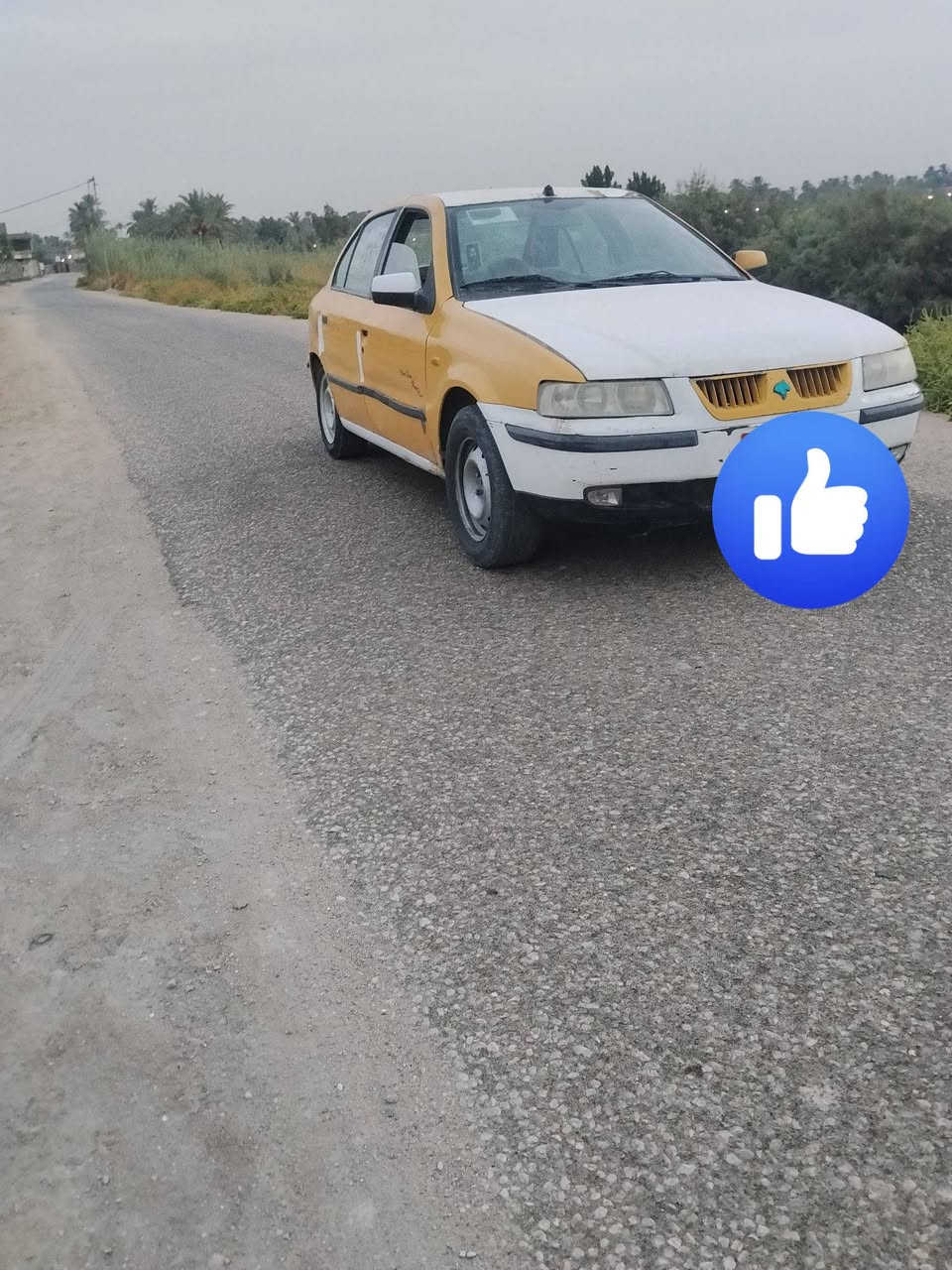 مراوس • للبيع • بابل