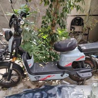 دراجة شحن • كهربائية • فاترينات زجاجية