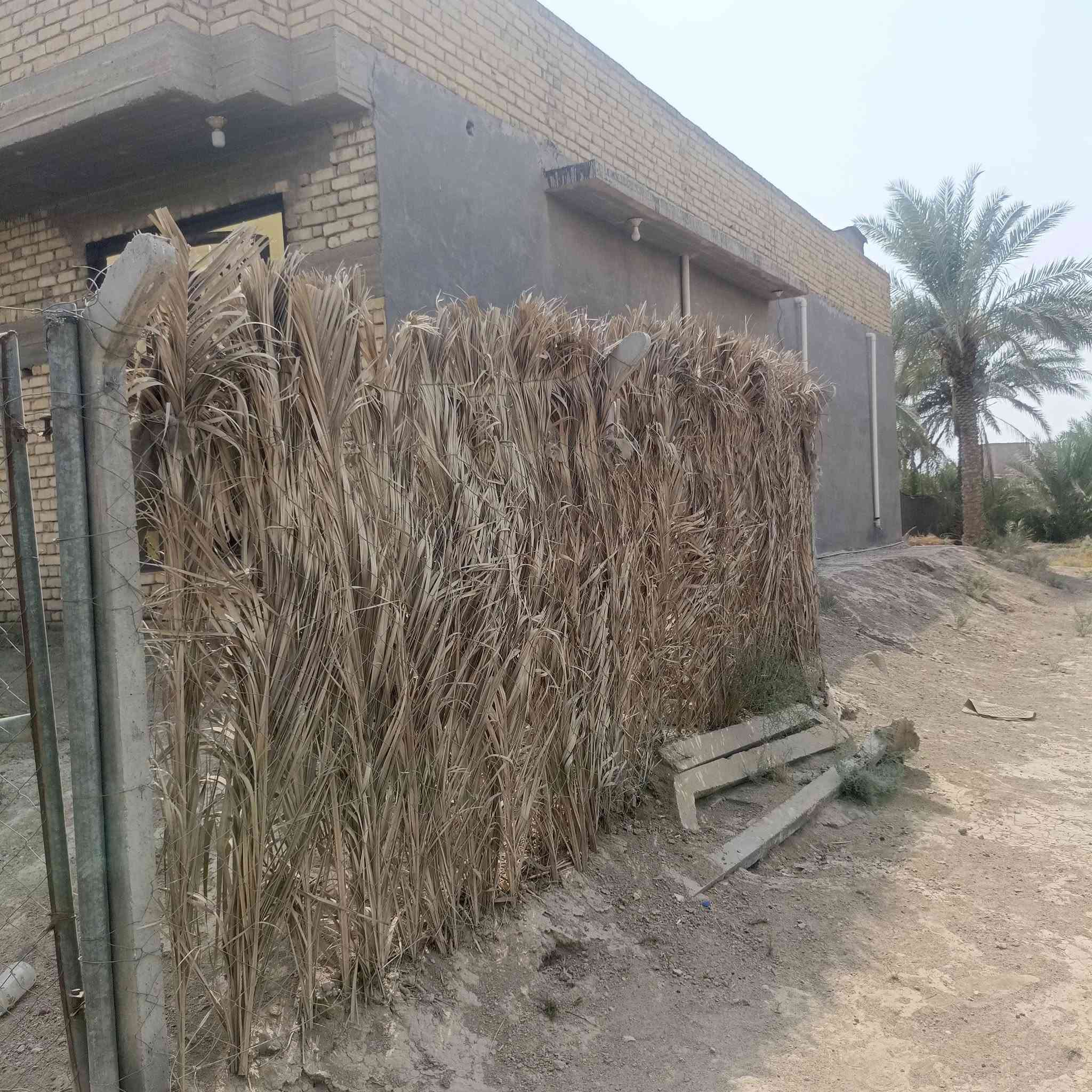 العماديه • طابو زراعي • ٥٩٠٠م