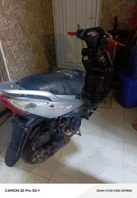 كايمه • للبيع • بدون راعيه