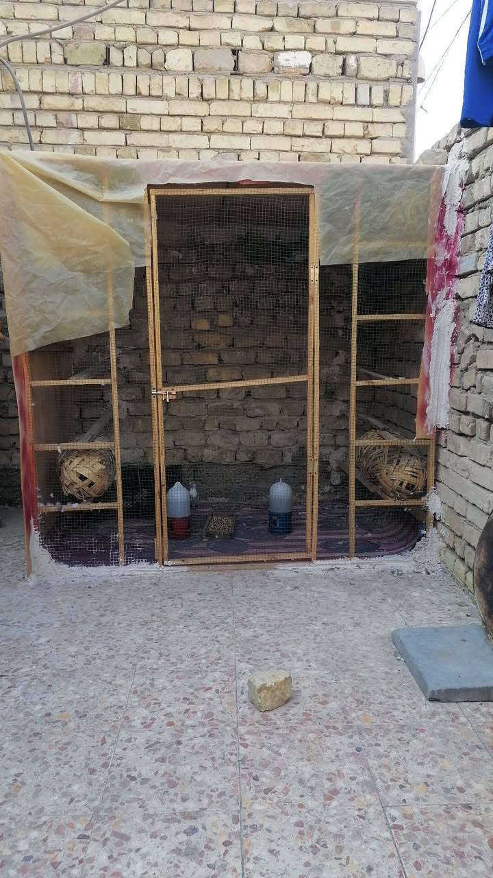 للبيع • ماجديه