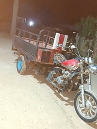 ستوته • ٢٠٠٩ • شاصي مكفول