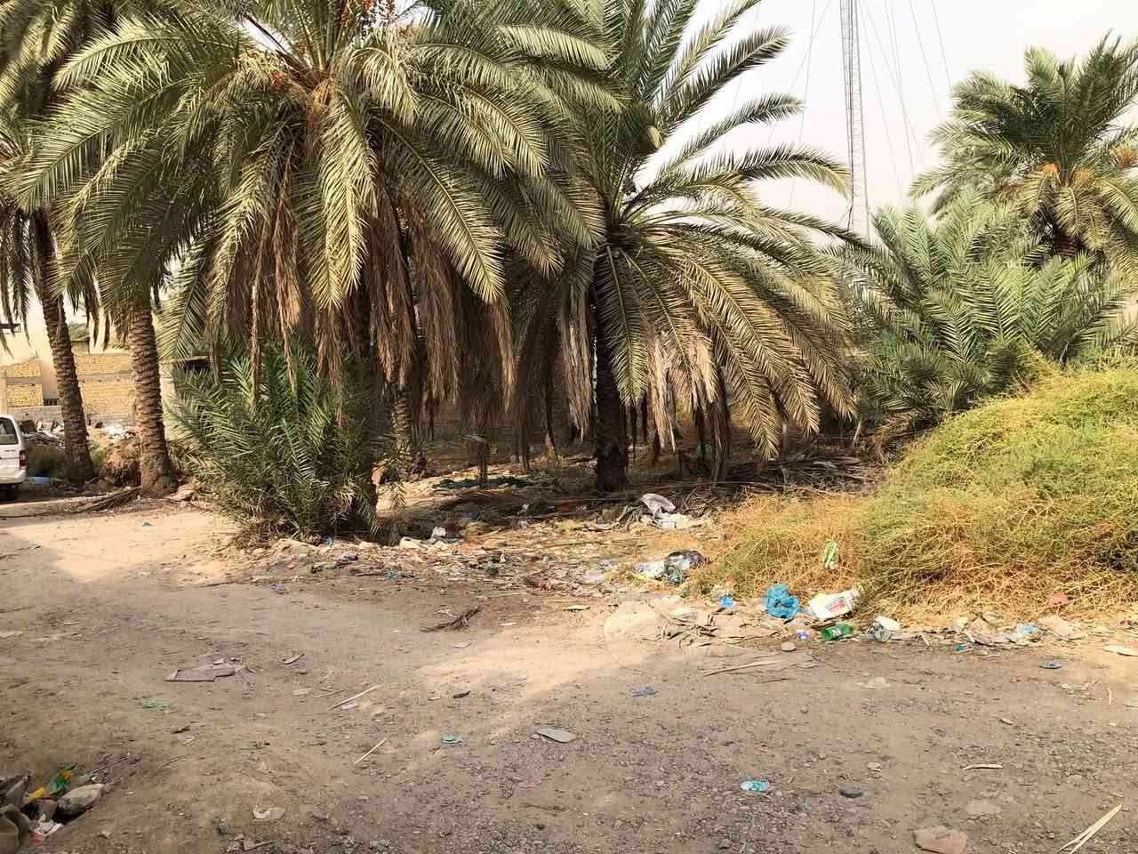 وقف • واجهة ١٤م • ٢٨٠م