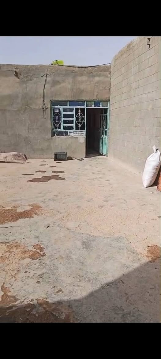 اخوان بيت للبيع بل زراعي خلف الحسينيات عمود 462 قريه سيد داخل يتكون من 5 غرف نوم + مطبخ +صاله + استقبال و حوشين كامل ماء و وطني و مولد موقع حلو
سعر 38 و بيه مجال
***********
اخوان بيت للبيع بل زراعي خلف الحسينيات عمود 462 قريه سيد داخل يتكون من 5 غرف نوم + مطبخ +صاله + استقبال و حوشين كامل ماء و وطني و مولد موقع حلو
