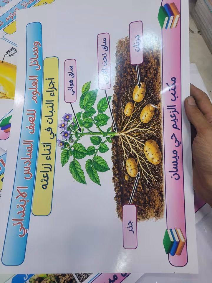 وسائل العلوم سادس • ٦٠ بوستر • حي ميسان