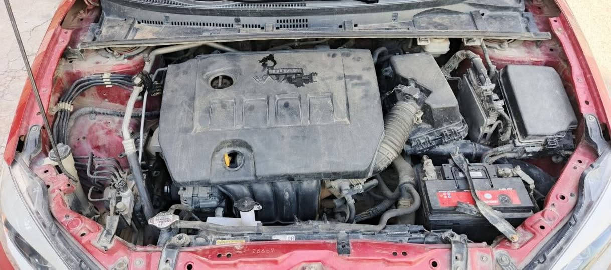 🚗 #للبيع: تويوتا كورولا 2014 (وارد أمريكي) 🚗

🔴 اللون: أحمر مميز ونظيف جداً.

⚙️ الوضع الميكانيكي: كير، محرك، وتبريد وتدفئه مكفول 100% (بشرط الفحص).

🛠️ الضرر: نصف بنيد ودعامية، مع تعديل على قد شبر في الشاصي (تعديل فقط بدون قص أو تبديل صور الحادث منشورة

📝 : السيارة باسمي والتحويل ثاني يوم رقم انكليزي مشروع وطني يتحول باي مكان سنويه ل٢٩

💵 السعر: 107 ورقة (وقابل للتفاوض البسيط للجادين).

📍 الموقع: بغداد - بغداد الجديدة. او الشعب 

📞 للتواصل: ***********
