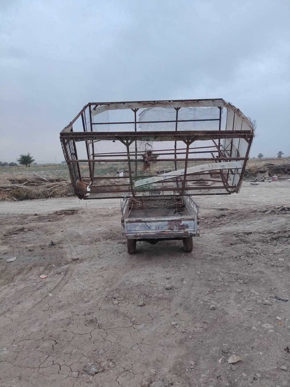 بيت طيور • حديد ثقيل • ٣٫٥×١٫٧٥م