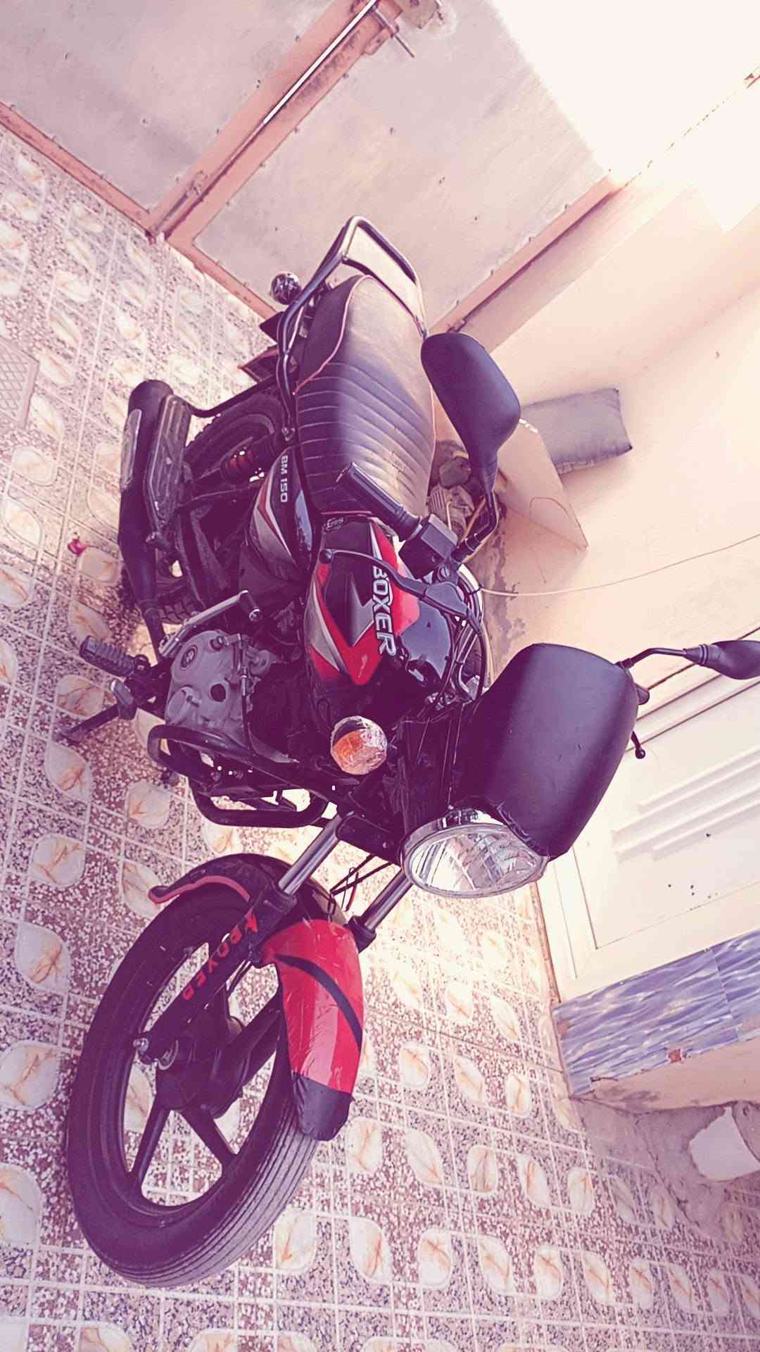 السلام عليكم بوكسر موديـل 21نازل بل 2022 محرك كفاله عامه  ممفتوح بلادي ممبدل برغي بي عل قول دراجه ناعمه وممتعوبه خير من الله وكامله اوراق أصولية شرط الترقيم بـ 1200 وبي مجال قليل حك الجيه مكاني ديالى تقاطع الوجيهيه 🩶. ***********
