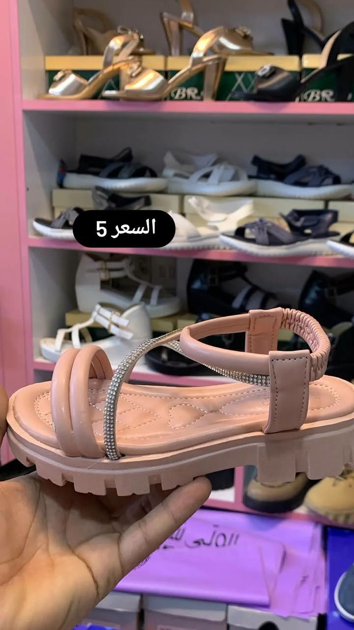 بابل المسيب • توصيل • حجز