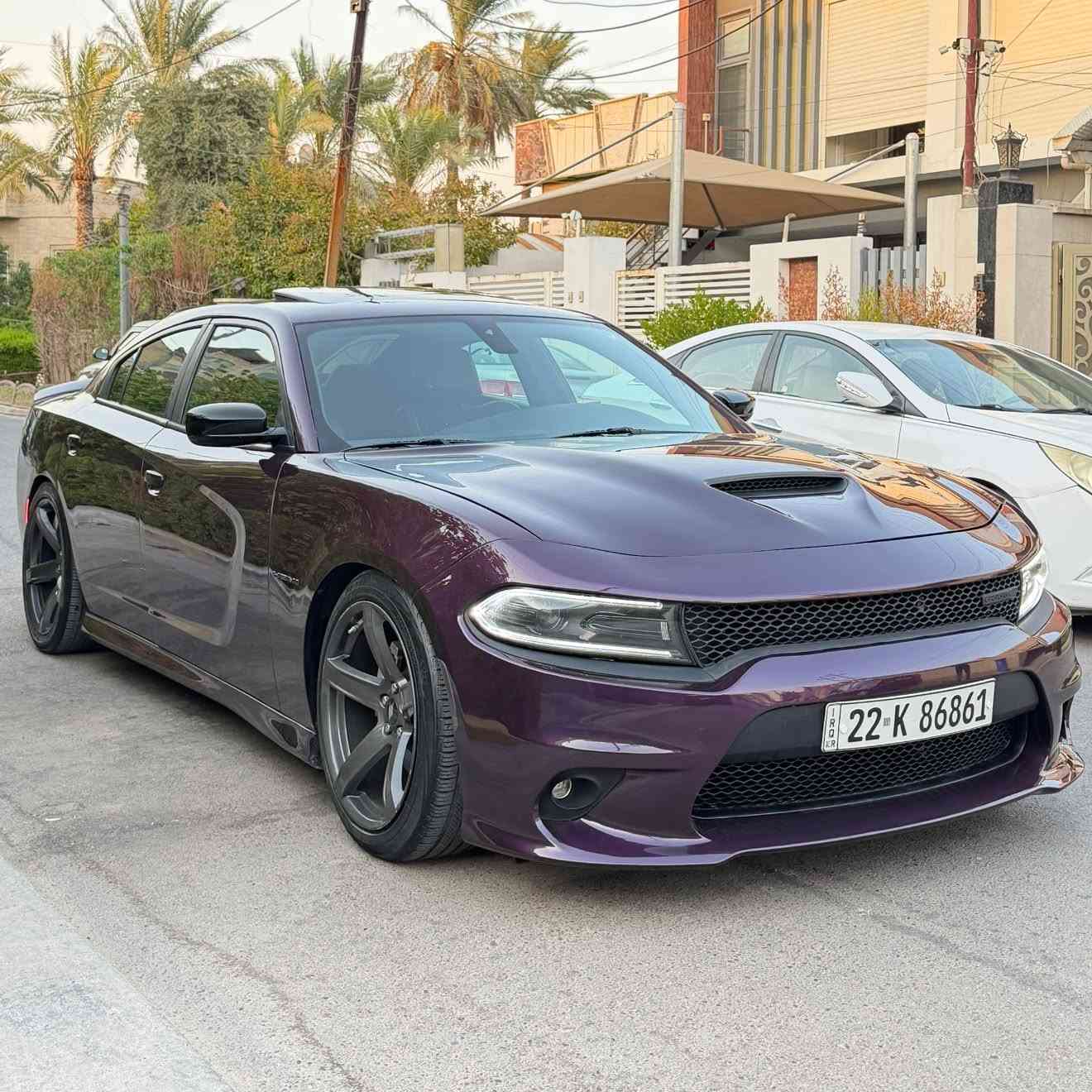 جارجر 2022 لون بنفسجي🥇🥇
مكينه 5700 RT🚀

فول مواصفات للاخير 

حادث بابتين وبالعراق صار ربع البنيد صبغ

عليها  تفريغ  وبرمجه يم ايكل

اكس بايب شغل قفايص بلادي  يم علي الوادي  

مواصفات ؛👀

سلايت 

كشنات كنتاره

كشنات تدفئه وتبريد 

كشن ميموري 

حساسات خلفيه

نقطه عمياء

ويل نجمه 

سماعات لباين

دشبول خياط وبطاين

لايت زنون بلادي 

ولف حماره ريسنك83

ماشيه 66الف

رقم اربيل تحويل او وكاله

تحويل ثاني يوم

السعر227💸

***********

مكان سياره بغداد الدوره

صور حادث بمنشور
