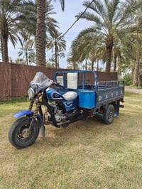 ستوته • دايوان • ٢٠٢٠