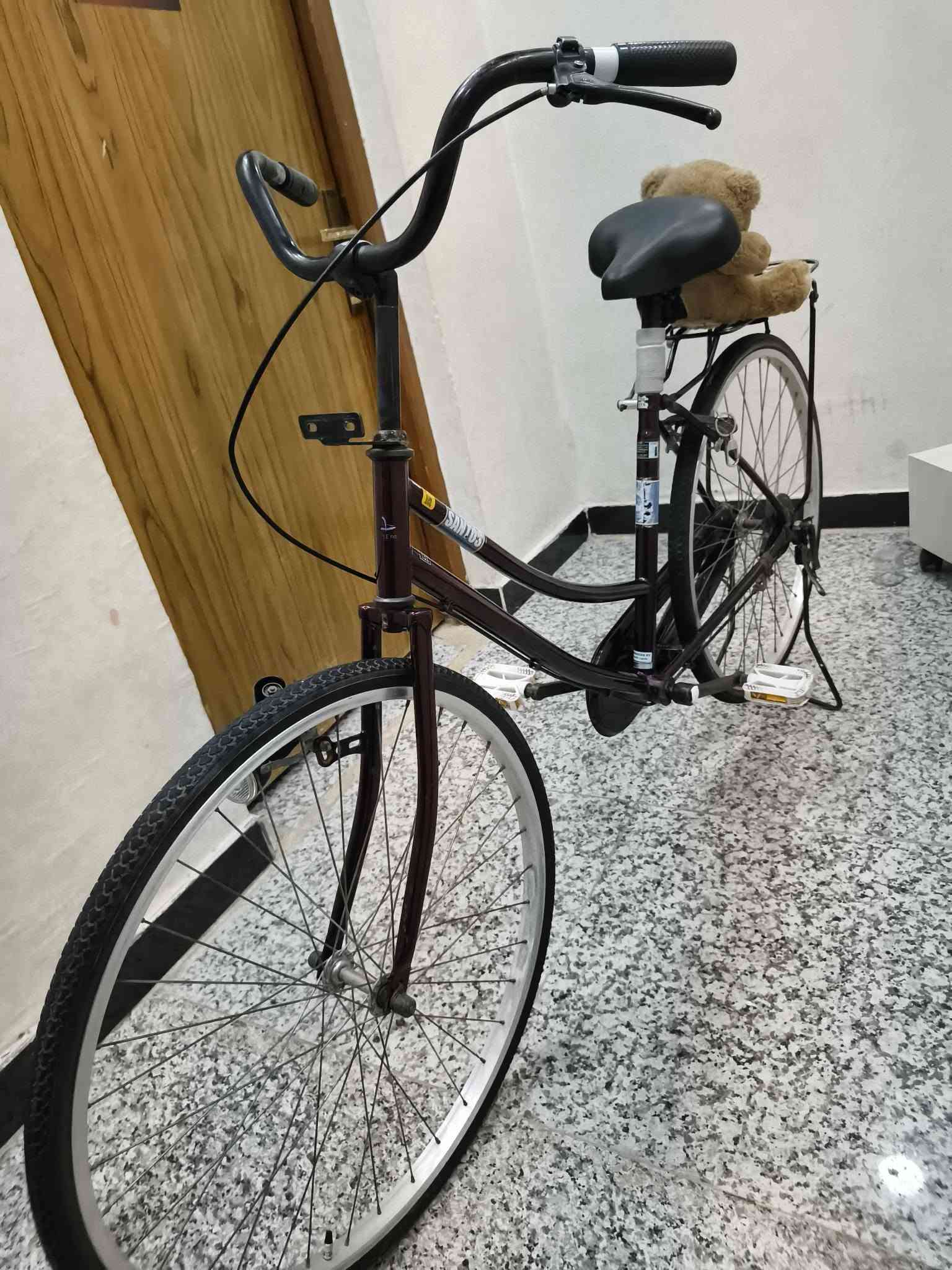 بايسكل • الديوانيه