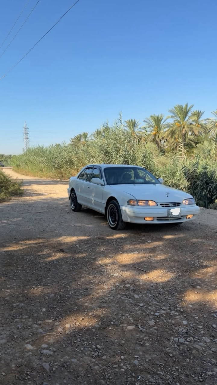 سوناته موديل 96 رقم ديالي مشروع وطني تحويل ثاني يوم سنويه جديده هزه جديده محرك مفتوح 2000 كير عادي سنتر لك علا ريموت تبريت تفه كهربيات دشبول لايت عالي ناصي جام سمعات أربعه كله شغال سياره مكفول كفاله عامه من ضربه ومعجون وخياس سياره داخل وخارج جديد سياره مال جناي متعوب عليه معنه كلام بيع أو مراوس حسب القناعه سعر تصال بل رقم *********** مكاني ديالي
