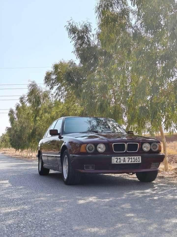 *********** كركوك, العراق
