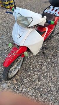 سرفيز • ستوته • للبيع