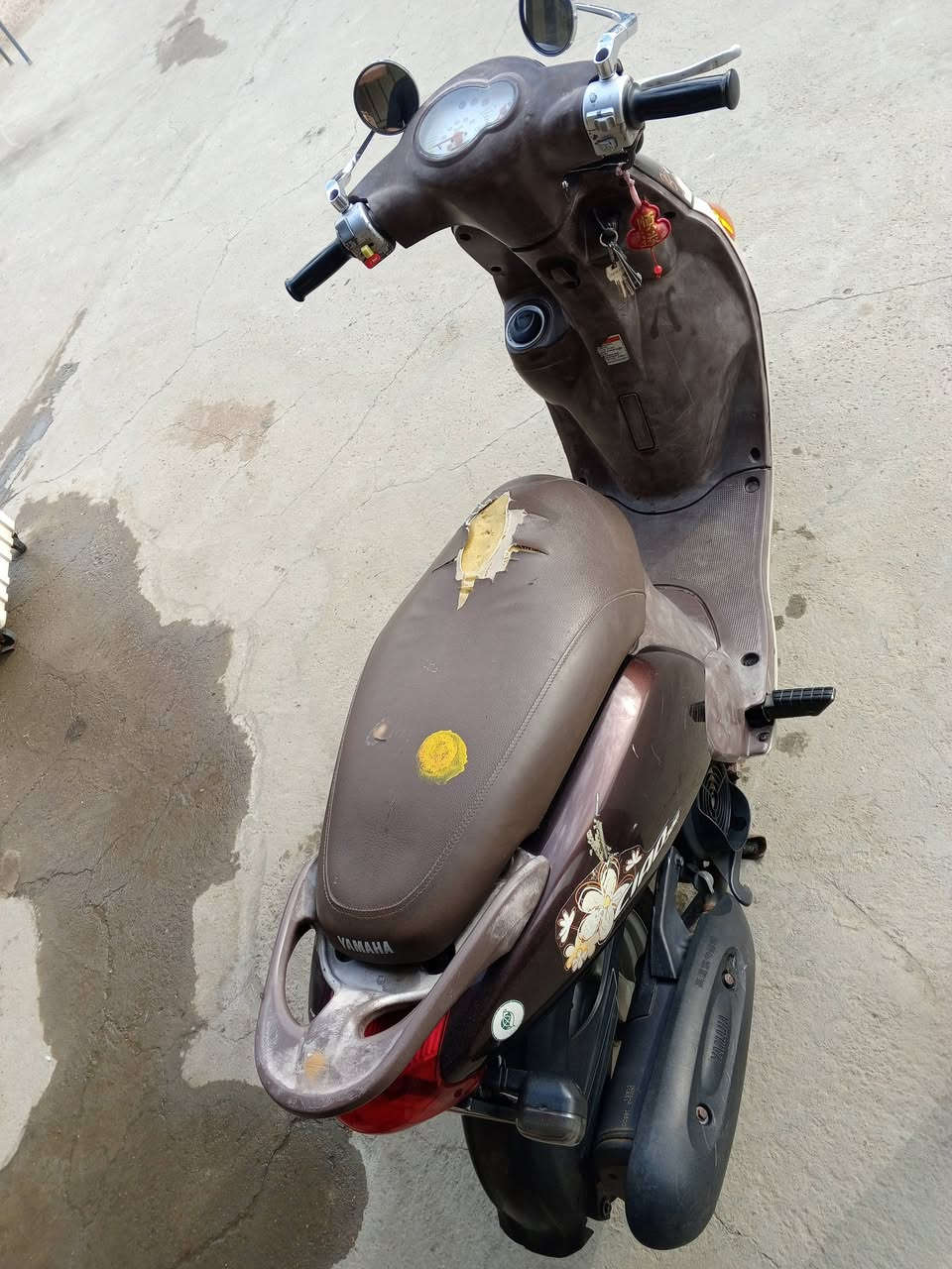 فله • نضيفه • ٢٠١١