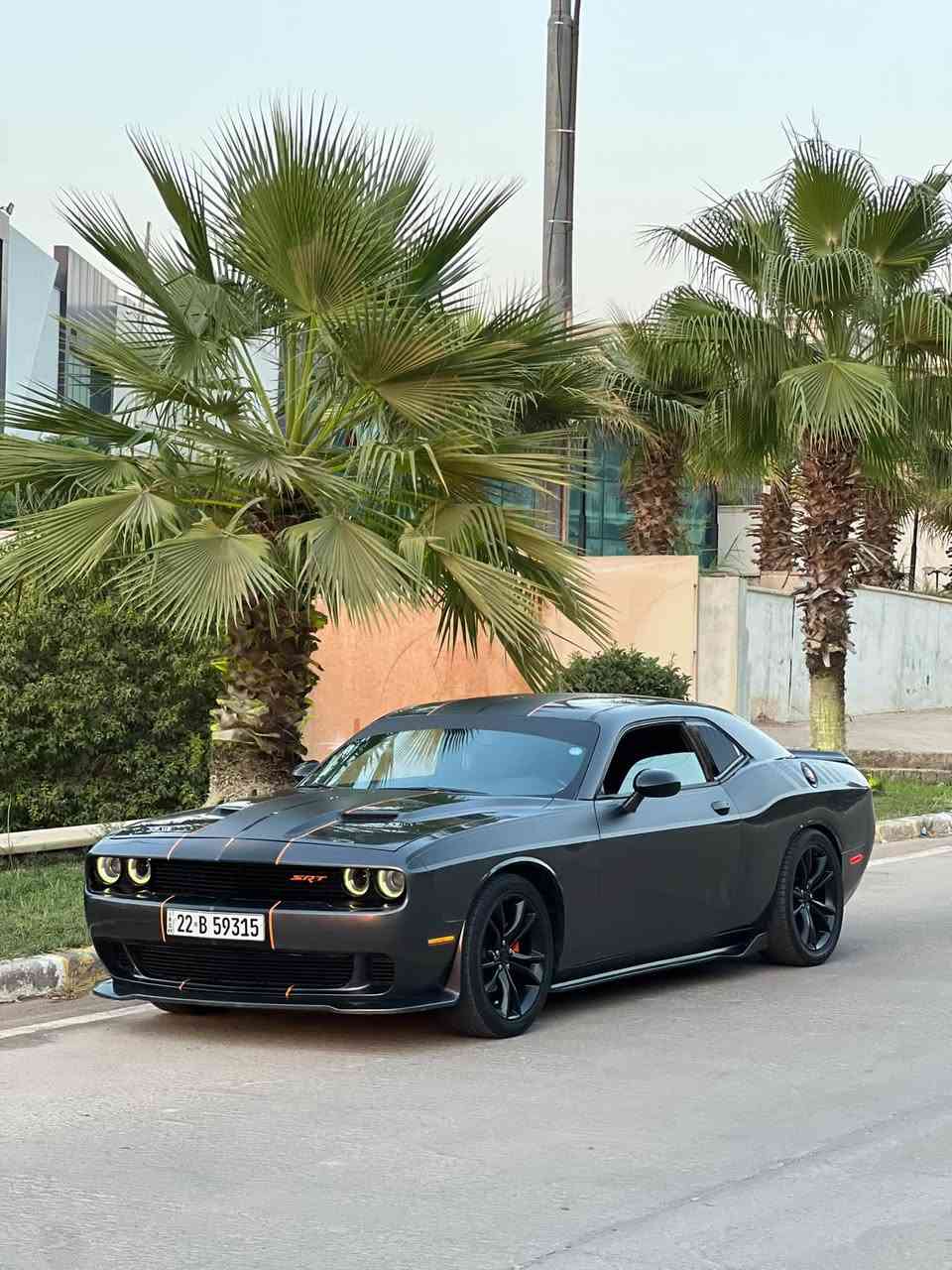 Challenger 2017 SXT
جالنجر 
كير مكينة اكسل شرط 
كهربايات شرط 
سيارة ستوك وضع شركة 
سيارة قطعه وحده صبغ وثلاثه كلير فقط 
دعاميه هيلكات
ويل بلاك توب ٢٠
سيارة بدون دواخل نهايا شرط
سياره بدون ايرباك فقط برده
مواصفات 
 ،كشنات كهربا 
شاشه جبير 
مودات قيادة 
عليها فيت بم جديد
ادامه جديده ودهن جديد
عليها دفيوزر هيلكات 
مظله عادي جالنجر 
طخم امامي خلفي جديد مهبطها 
تايرات ووياله نظاف 
دهن وفلتر وشوته جديد
بولش جديد وتلميع جديد
خطين فحمي واورنج
قطع الاسود فحمي صابغها حراري اسود
دواخل كلها مغلفه قطع كاربون غريب ومميز
وبعد هواي مواصفات 
صور حادث ما ينطي
ماشيه 129miقابل للزياده
رقم وهزة وسنويه جديد 
تحويل ووكاله شرط
سياره باسمي
سيارة عليها غرامات ٧٠ الف
مكان سيارة دهوك
سعر ١٣٦$وبي مجال بسيط 
رقم تليفون***********وبي واتساب
