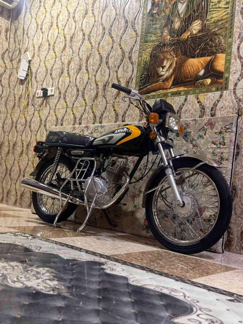 ارشه • موديل2026 • شلعه
