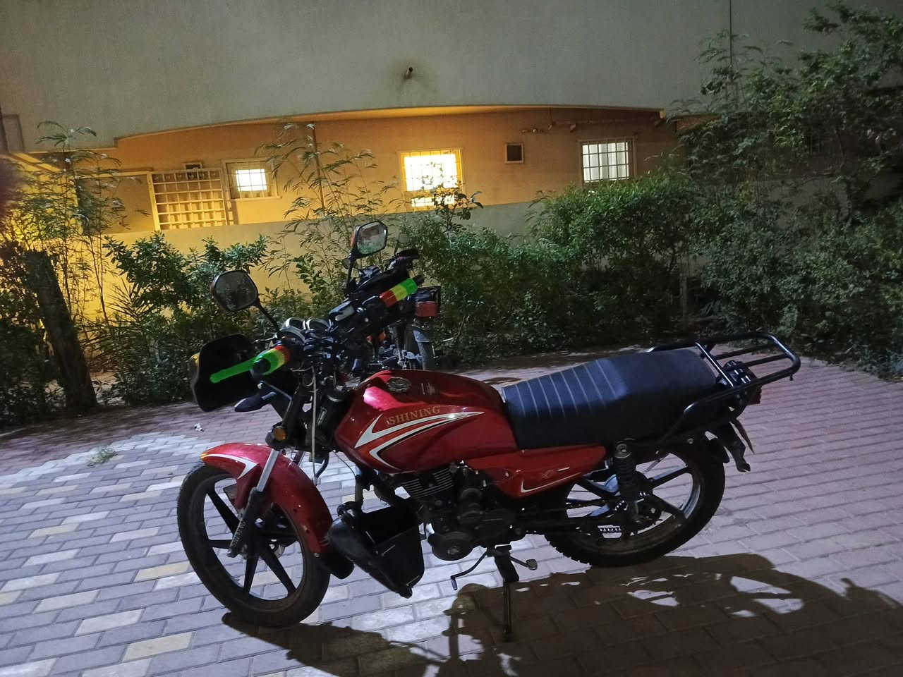 شاينك • ٢٣ • باتريها