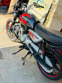 بوكسر • ٢٠٢١ • شهر ٨