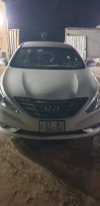 سوناته • ٢٠١٤ • وارد امريكي